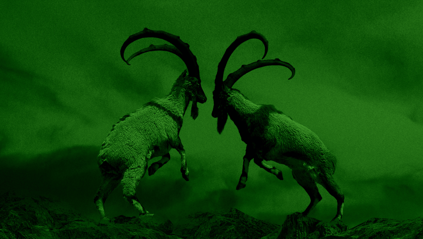 wuohi digital, marknadsföringsbyrå